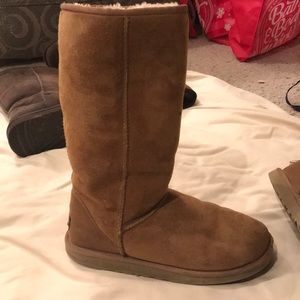 Ugg Boot - Classic Tall
